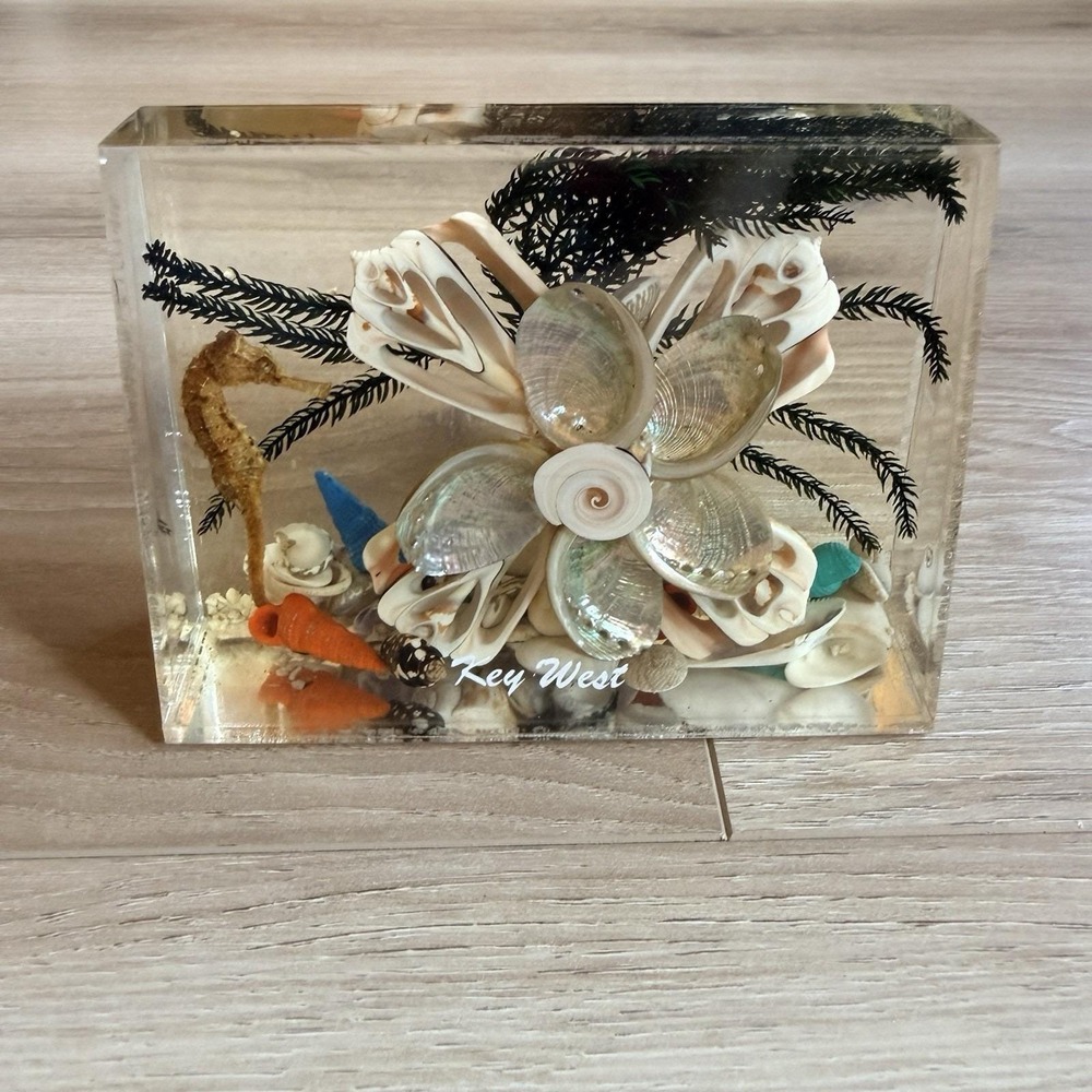 Key West Vintage Shells and Sea Life In Lucite Desk Paperweight - Rare Find!